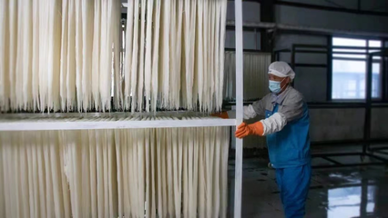 稅務(wù)賦能，非遺“活”起來(lái) 延邊稅務(wù)助力非物質(zhì)文化遺產(chǎn)傳承與發(fā)展